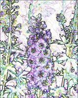 ART0802.jpg