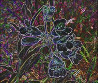 ART0801.jpg