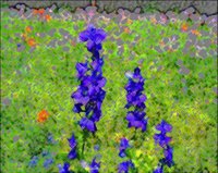 ART0800.jpg