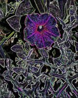 ART0799.jpg