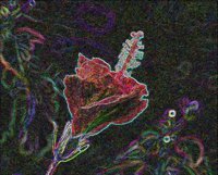 ART0796.jpg