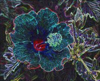 ART0795.jpg