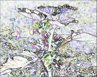 ART0794.jpg