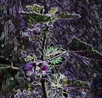 ART0792.jpg