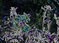 ART0789.jpg