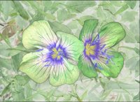 ART0788.jpg