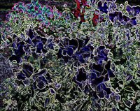 ART0782.jpg