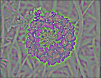 ART0776.jpg