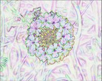 ART0774.jpg