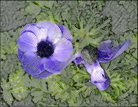 ART0773.jpg