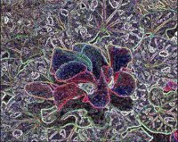ART0766.jpg