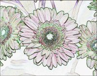 ART0762.jpg