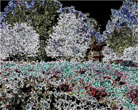 ART0760.jpg