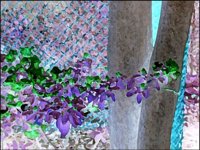 ART0759.jpg
