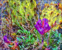 ART0757.jpg