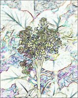 ART0754.jpg