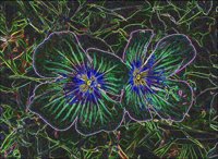 ART0753.jpg