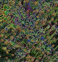ART0748.jpg