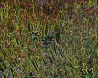 ART0747.jpg