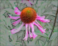 ART0743.jpg
