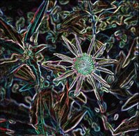 ART0740.jpg