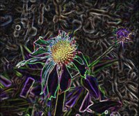 ART0739.jpg