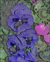 ART0736.jpg
