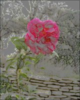 ART0735.jpg