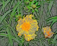 ART0734.jpg