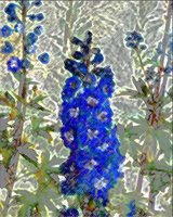 ART0730.jpg