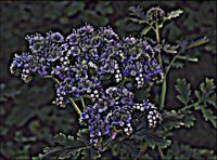 ART0727.jpg