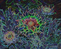 ART0726.jpg