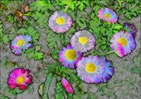 ART0724.jpg