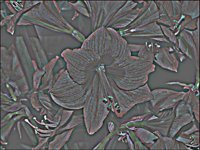 ART0722.jpg
