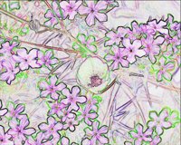 ART0719.jpg