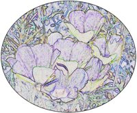 ART0716.jpg