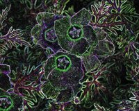 ART0715.jpg