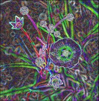ART0713.jpg
