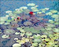 ART0711.jpg