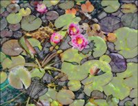 ART0708.jpg