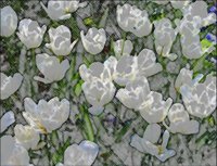 ART0706.jpg