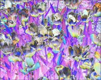 ART0704.jpg