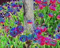 ART0702.jpg