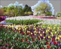 ART0700.jpg