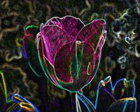 ART0698.jpg