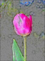 ART0697.jpg