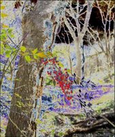 ART0906.jpg