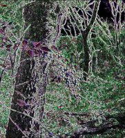 ART0905.jpg