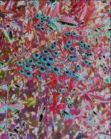 ART0903.jpg