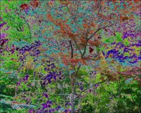 ART0920.jpg